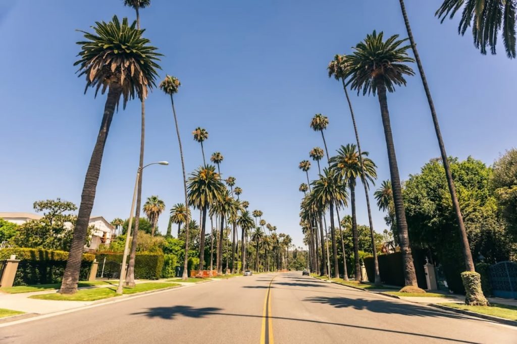 Sherman Oaks Office 51ffa313 4e51 42ca b897 dea194343e51